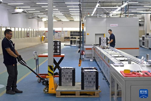 中国电动车企为巴西新能源市场注入强劲动力